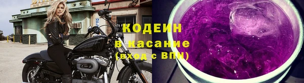 бошки Бикин