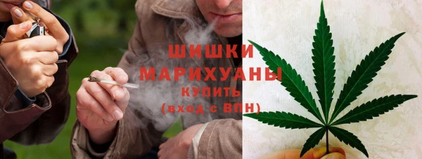 MESCALINE Болотное