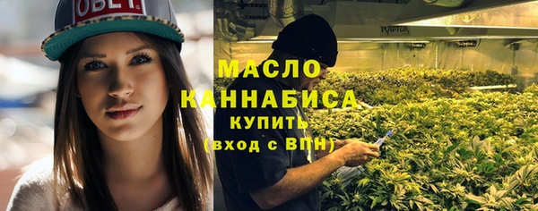 индика Билибино