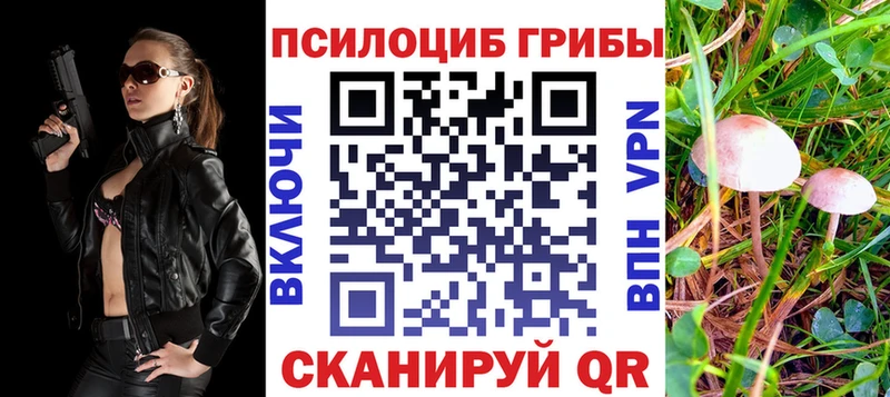 где можно купить наркотик  Городовиковск  Галлюциногенные грибы ЛСД 